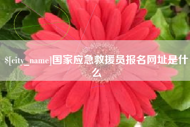 鄄城国家应急救援员报名网址是什么