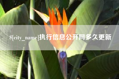 鄄城执行信息公开网多久更新