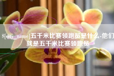 鄄城五千米比赛领跑员是什么-他们就是五千米比赛领跑员