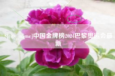 鄄城中国金牌榜2024巴黎奥运会最新