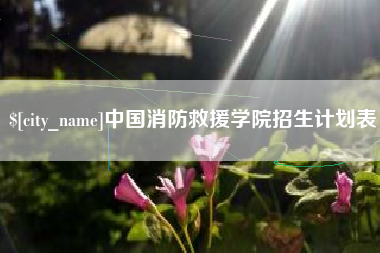 鄄城中国消防救援学院招生计划表