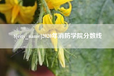 鄄城2020年消防学院分数线
