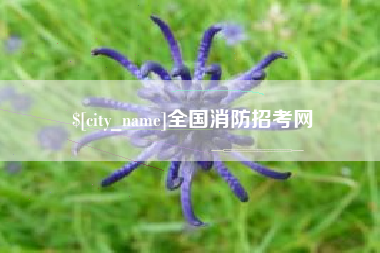 鄄城全国消防招考网