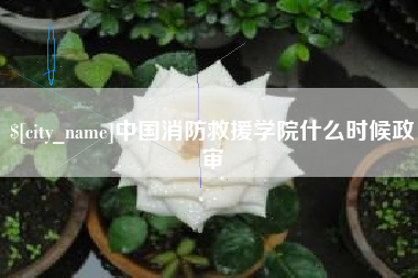 鄄城中国消防救援学院什么时候政审