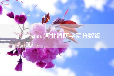 鄄城河北消防学院分数线