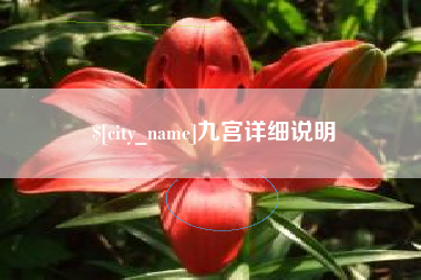 鄄城九宫详细说明