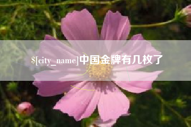 鄄城中国金牌有几枚了
