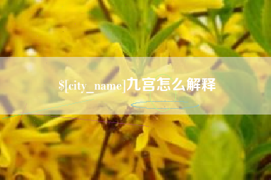 鄄城九宫怎么解释