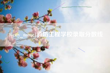 鄄城消防工程学校录取分数线