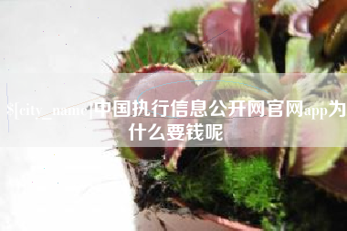 鄄城中国执行信息公开网官网app为什么要钱呢