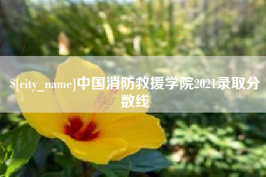鄄城中国消防救援学院2021录取分数线