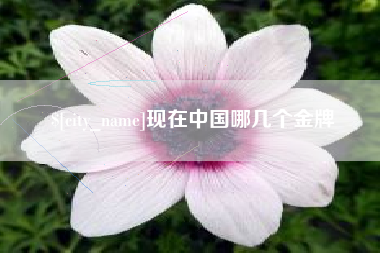 鄄城现在中国哪几个金牌
