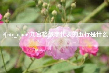 鄄城九宫格数字代表的五行是什么