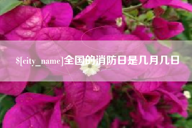鄄城全国的消防日是几月几日