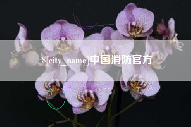鄄城中国消防官方