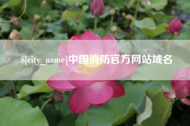 鄄城中国消防官方网站域名