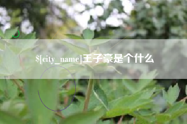 鄄城王子豪是个什么