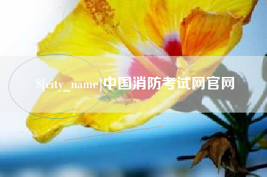 鄄城中国消防考试网官网