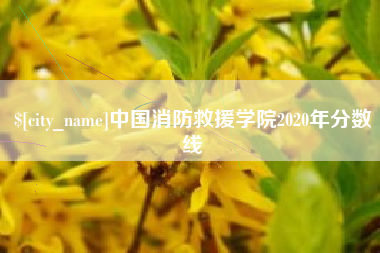 鄄城中国消防救援学院2020年分数线