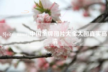 鄄城中国金牌图片大全大图真实高清