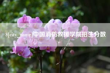 鄄城中国消防救援学院招生分数
