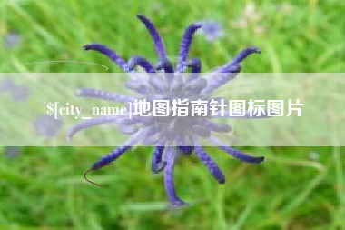 鄄城地图指南针图标图片