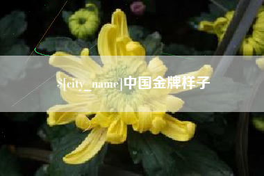 鄄城中国金牌样子