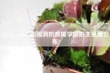 鄄城中国消防救援学院招生章程公布!