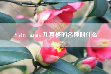鄄城九宫格的名称叫什么