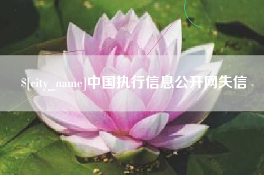 鄄城中国执行信息公开网失信