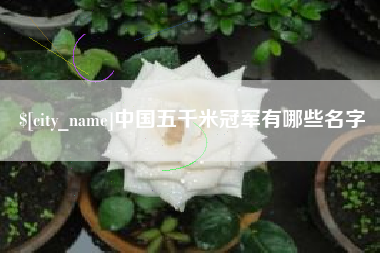 鄄城中国五千米冠军有哪些名字