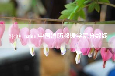 鄄城中国消防救援学院分数线