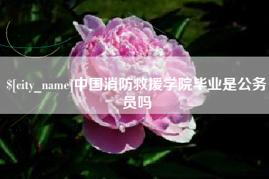 鄄城中国消防救援学院毕业是公务员吗