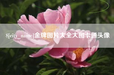 鄄城金牌图片大全大图卡通头像
