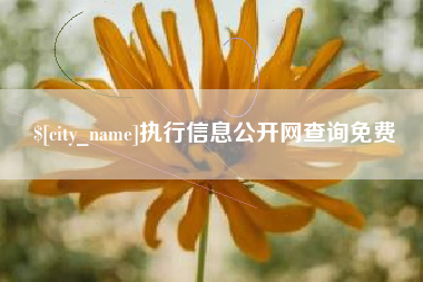 鄄城执行信息公开网查询免费