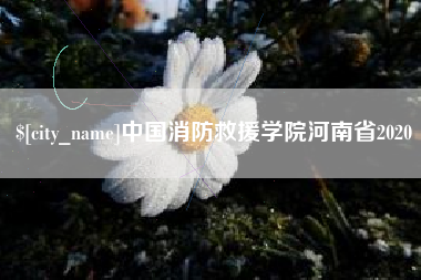 鄄城中国消防救援学院河南省2020